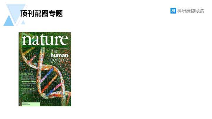 顶刊配图专题005：马赛克风格图片