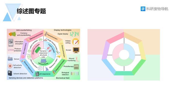 新综述图专题：001
