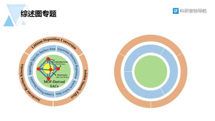 新综述图专题：005