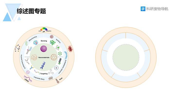 新综述图专题：006