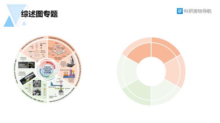 新综述图专题：008