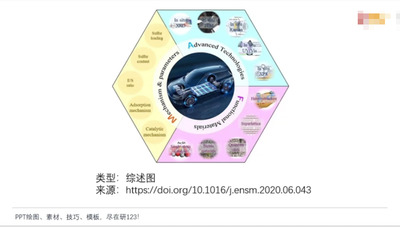 综述图专题：002