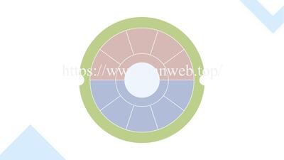 综述图专题：010