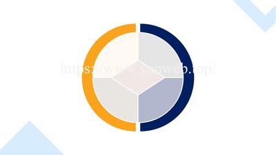综述图专题：085