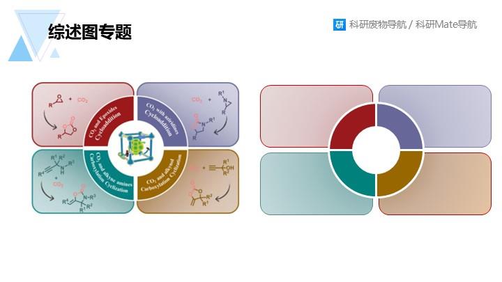 综述图专题：095