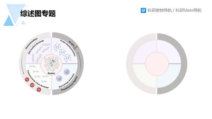 综述图专题：096