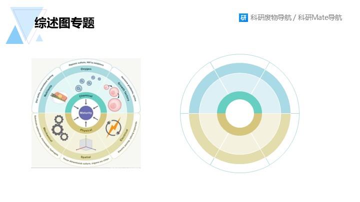 综述图专题：097