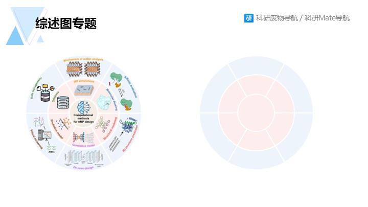综述图专题：098