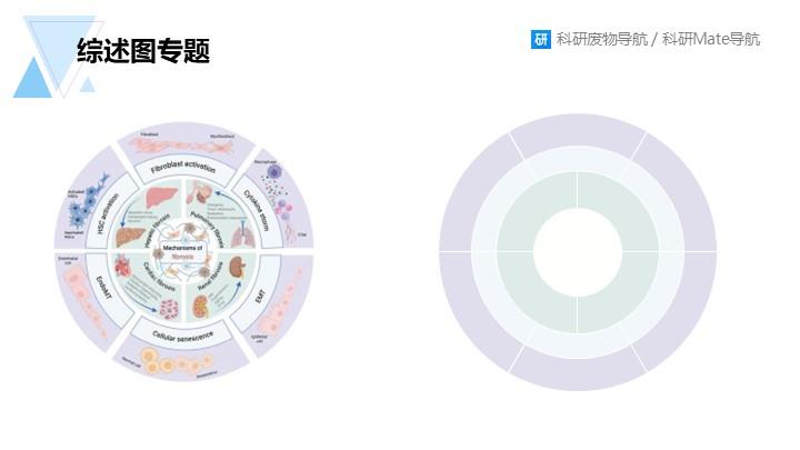 综述图专题：099